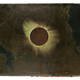 Illustration for article titled 10 Amazing Photos From the Museum of Natural Historys Online Archive